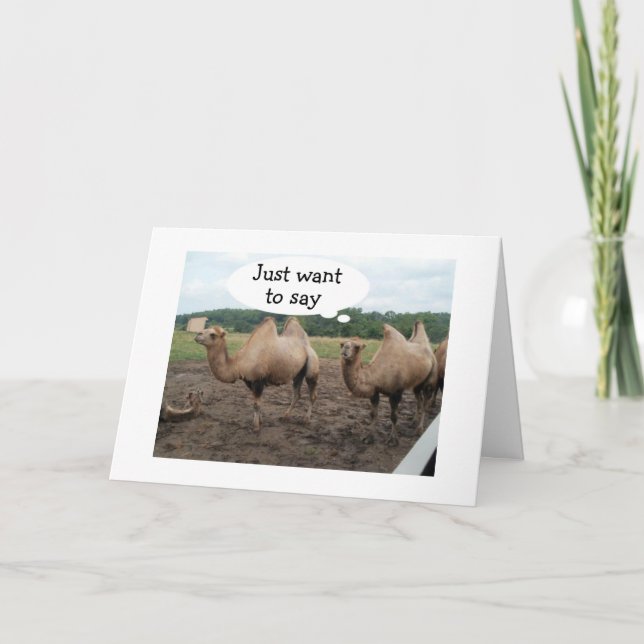 CAMELS SAY NO HUMP DAY-IT'S YOUR BIRTHDAY CARD (Front)