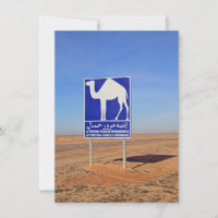 Camels sign, Tunisia, card