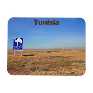 Camels sign, Tunisia Magnet