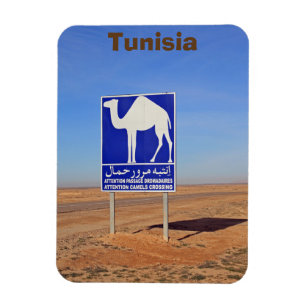 Camels sign, Tunisia Magnet