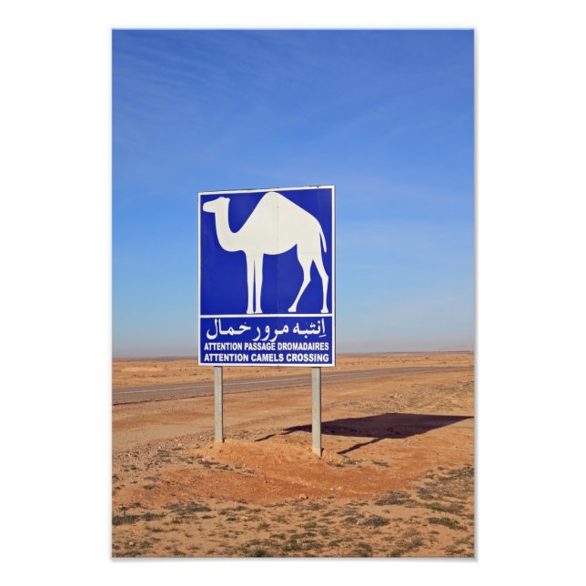 Camels sign, Tunisia Photo Print (Front)