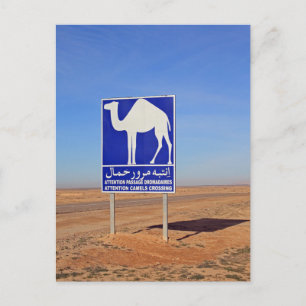Camels sign, Tunisia Postcard