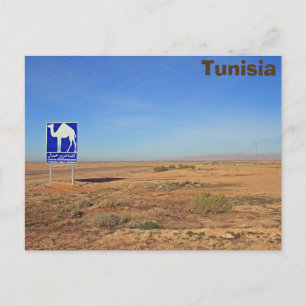 Camels sign, Tunisia Postcard
