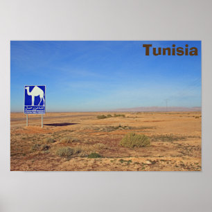 Camels sign, Tunisia Poster