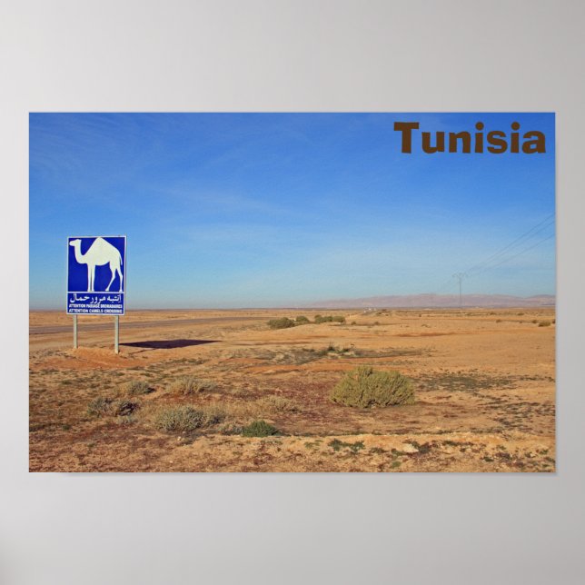 Camels sign, Tunisia Poster (Front)