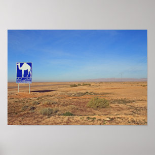 Camels sign, Tunisia Poster