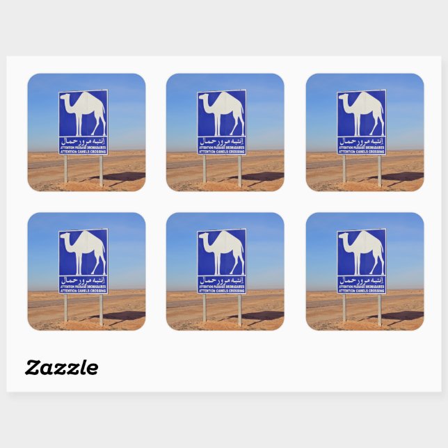 Camels sign, Tunisia Square Sticker (Sheet)
