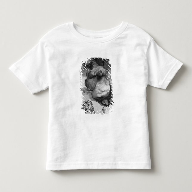Camels Toddler T-Shirt (Front)