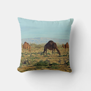 Camels, Tunisia Cushion