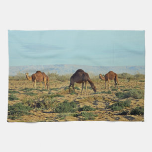 Camels, Tunisia Tea Towel