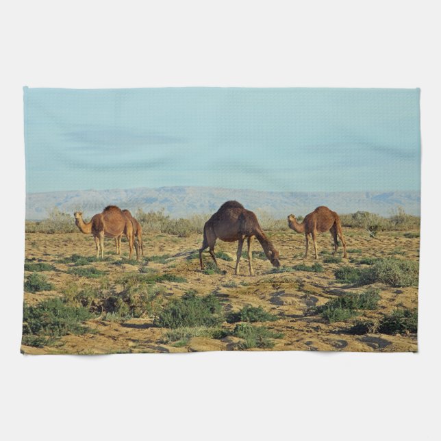 Camels, Tunisia Tea Towel (Horizontal)