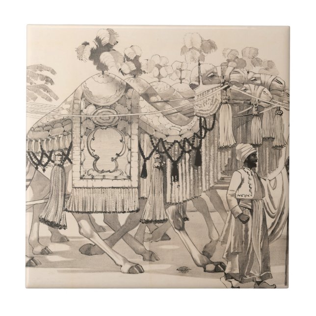 Camels Walking Dressed In Costume Tile (Front)