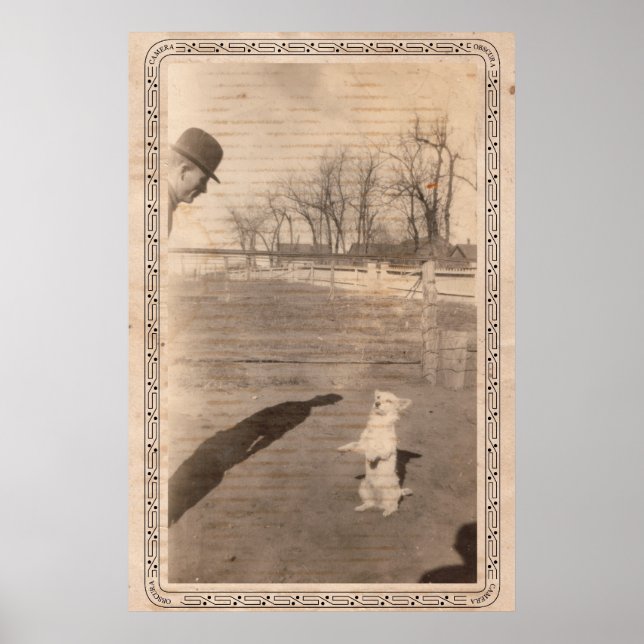 Camera Obscura #351 Poster (Front)