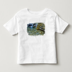 Cameron Falls in Waterton Lakes National Park in Toddler T-Shirt