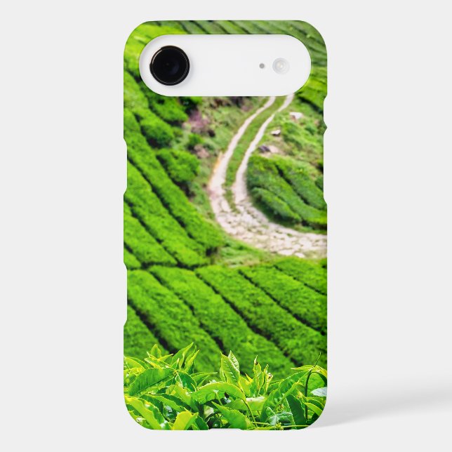 Cameron Highlands Tea Plantation (Back)