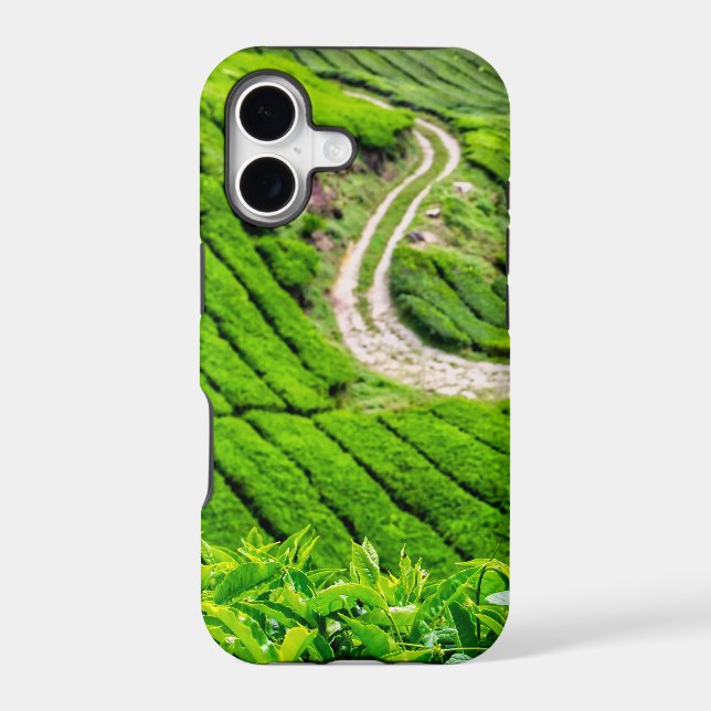 Cameron Highlands Tea Plantation (Back)