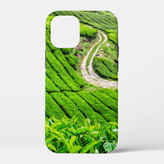 Cameron Highlands Tea Plantation iPhone 12 Mini Case