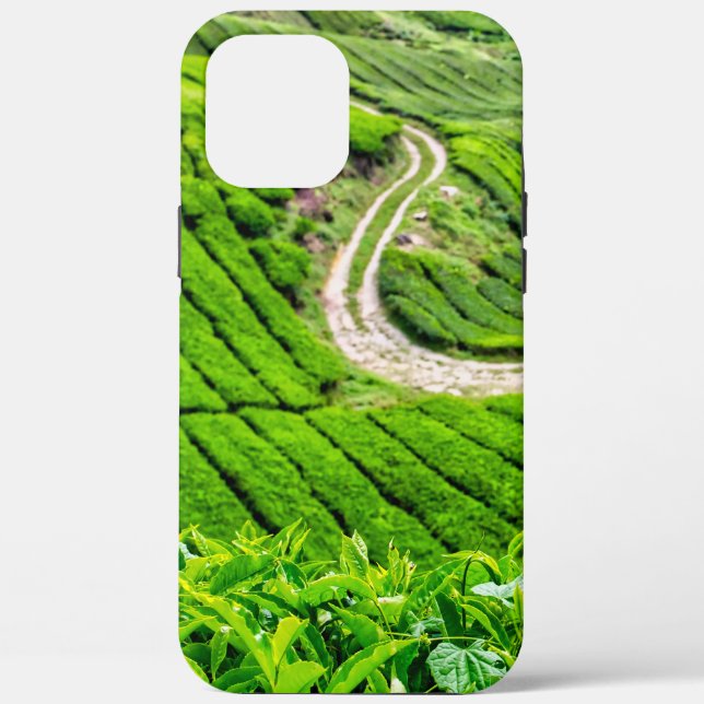 Cameron Highlands Tea Plantation Case-Mate iPhone Case (Back)