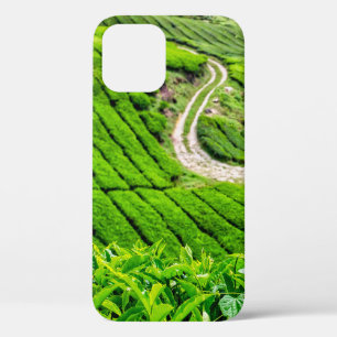 Cameron Highlands Tea Plantation iPhone 12 Pro Case