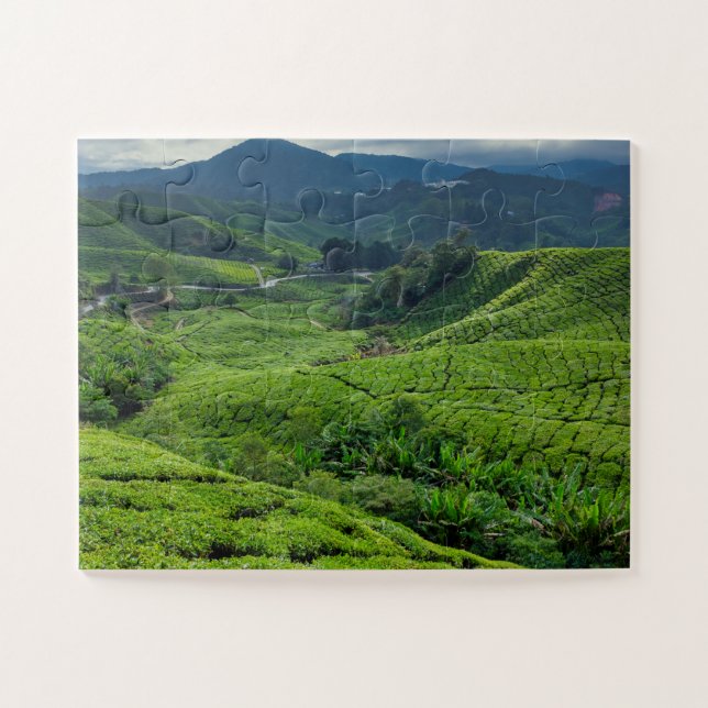 Cameron Highlands Tea Plantation Jigsaw Puzzle (Horizontal)