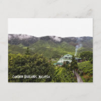Cameron Highlands tea plantation, Malaysia
