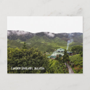 Cameron Highlands tea plantation, Malaysia Postcard