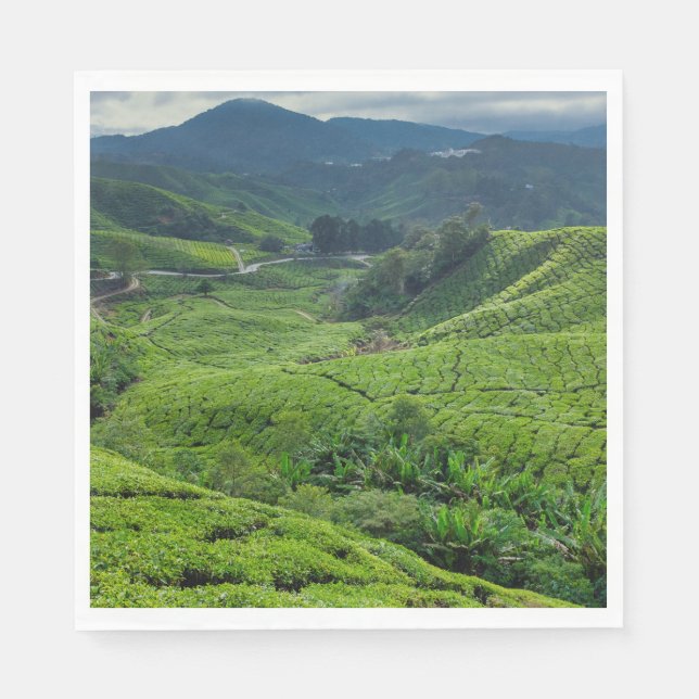 Cameron Highlands Tea Plantation Napkin (Front)