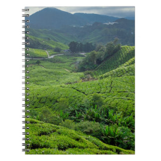 Cameron Highlands Tea Plantation Notebook