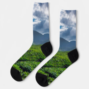 Cameron Highlands Tea Plantation Socks