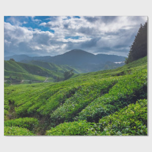 Cameron Highlands Tea Plantation Wrapping Paper