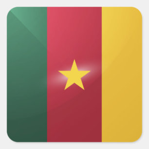 Cameroon square glossy flag sticker