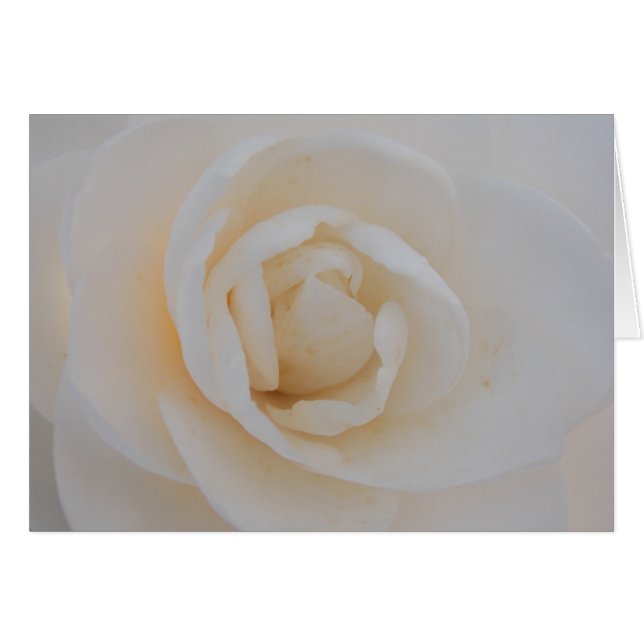 Camilla Bliss (Front Horizontal)