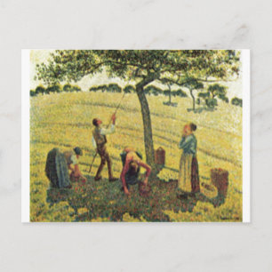 Camille Pissarro - Apple Harvest Eragny 1888 Oil Postcard