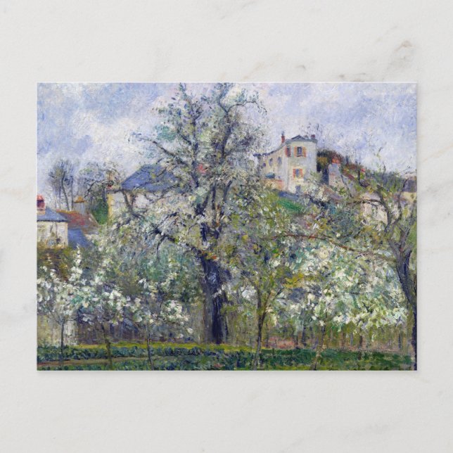 Camille Pissarro | The Vegetable Garden with Trees Postcard (Front)