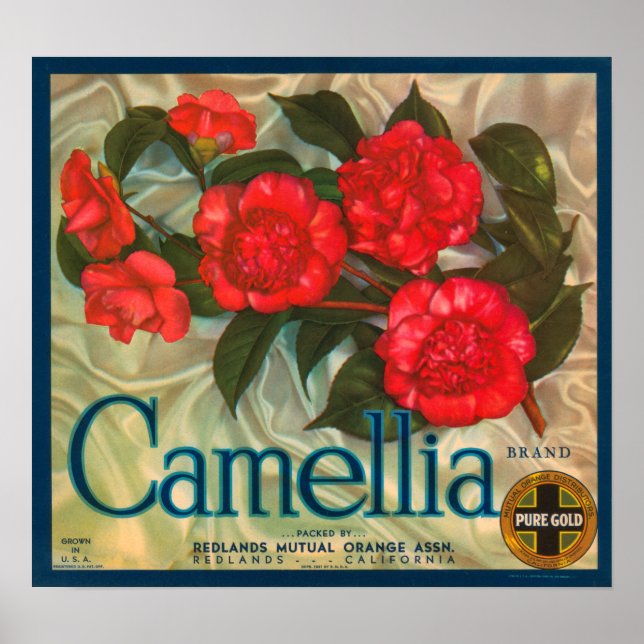 Camillia Brand Oranges Classic Fruit Crate Label Poster (Front)
