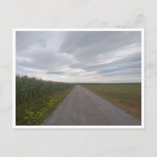 Camino de Santiago del Norte (Spain) Postcard (Front)