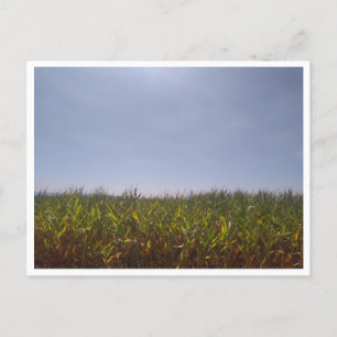 Camino de Santiago del Norte (Spain) Postcard