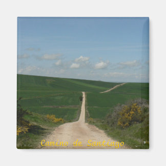 Camino de Santiago Magnet