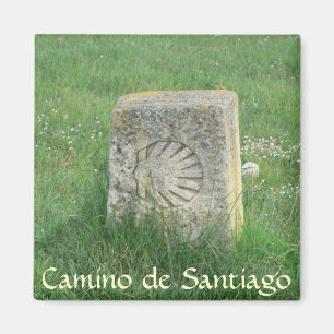 Camino de Santiago Magnet