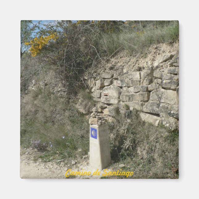 Camino de Santiago Magnet (Front)