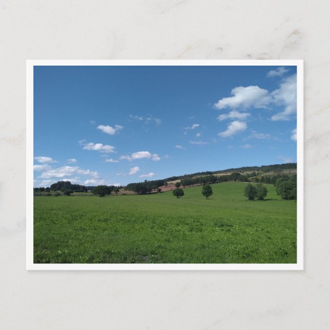 Camino Primitivo de Santiago (Spain) Postcard (Front)