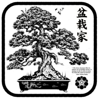 Camiseta bonsaika 2 T-Shirt