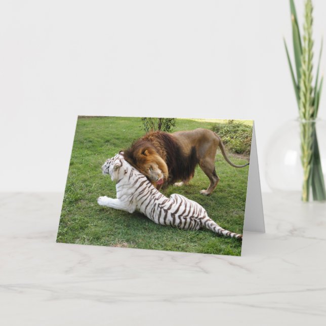 CamNzabu029 Card (Front)