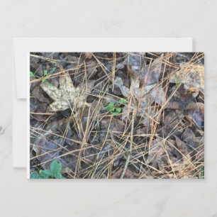 Camo Blank Invitations, Camouflage Invitation