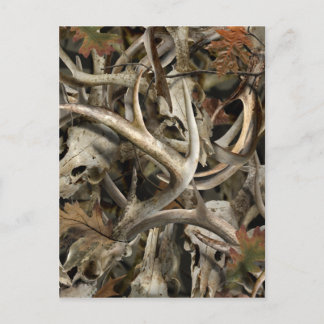 Camo Deer Skulls Postcard