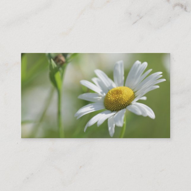 Camomile Calling Card (Front)