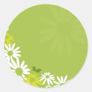 Camomile Flowers Classic Round Sticker