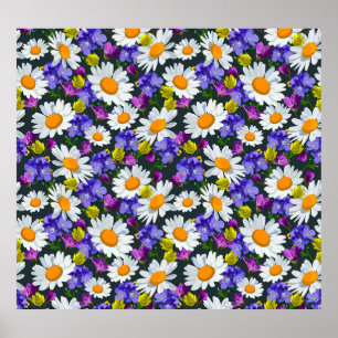 Camomile, wild flowers: seamless pattern. poster