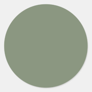 Camouflage Green Solid Colour Classic Round Sticker