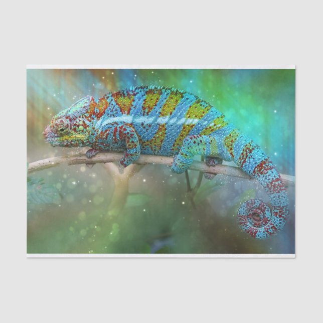 camouflage lizard tissue paper (Front)